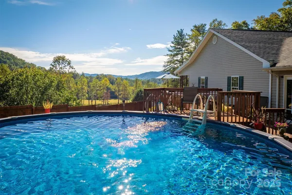 a view of house with a yard potted plants and large tree