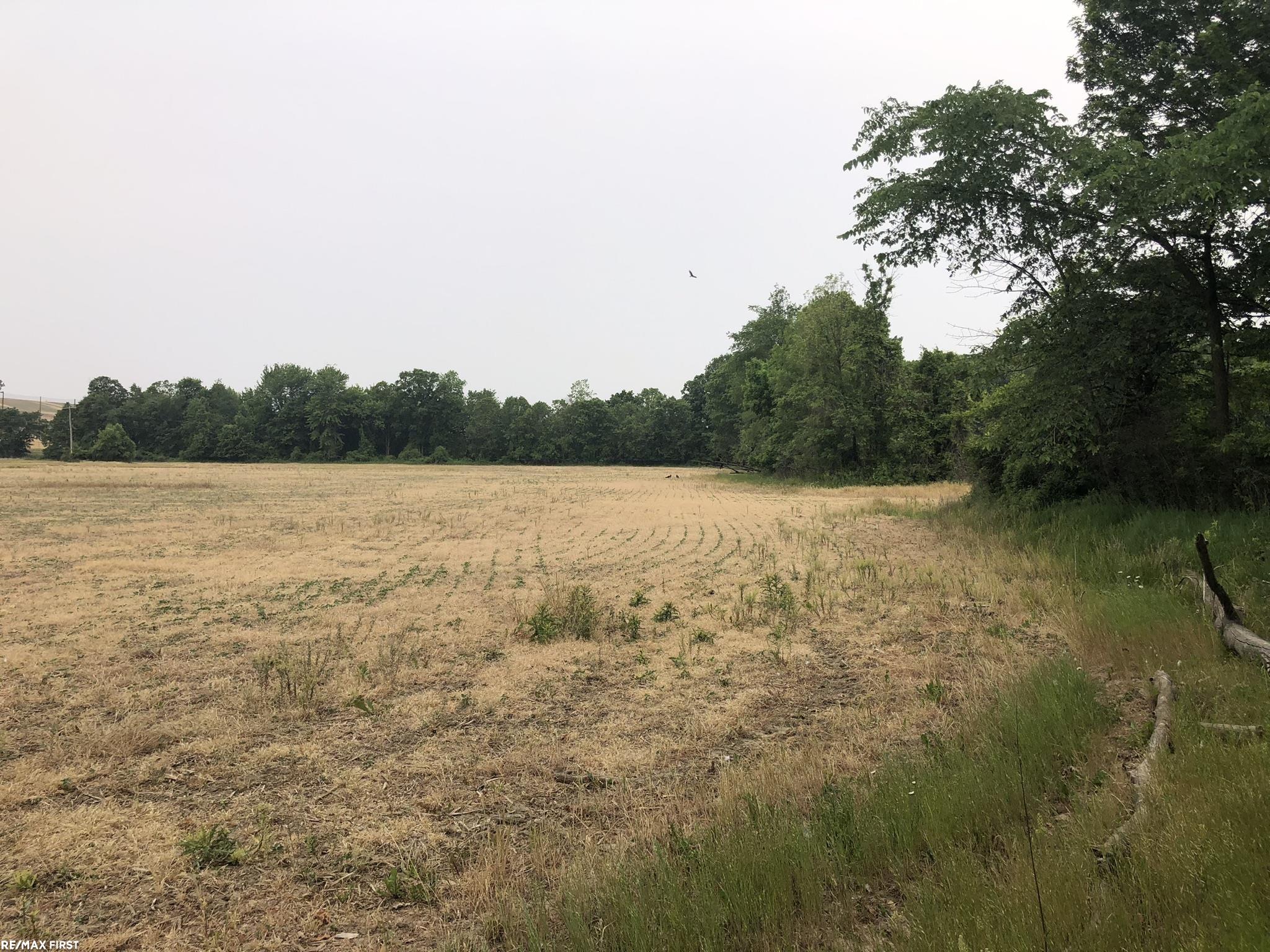 0 29 29 Mile Road New Haven, MI 48050 - Photo 7 of 38
