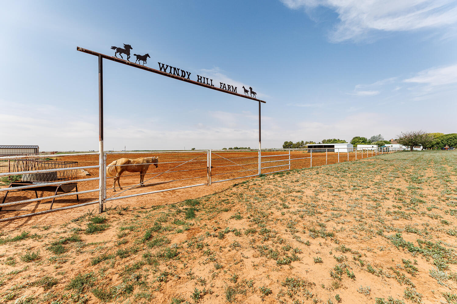 10025 Woodrow Road Ropesville, TX 79358 - Photo 60 of 78 Double Gate