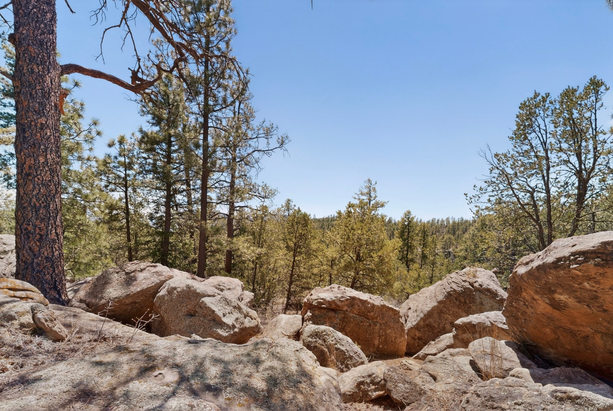 30 Monte La Cueva Road Glorieta, NM 87535 - Photo 91 of 91