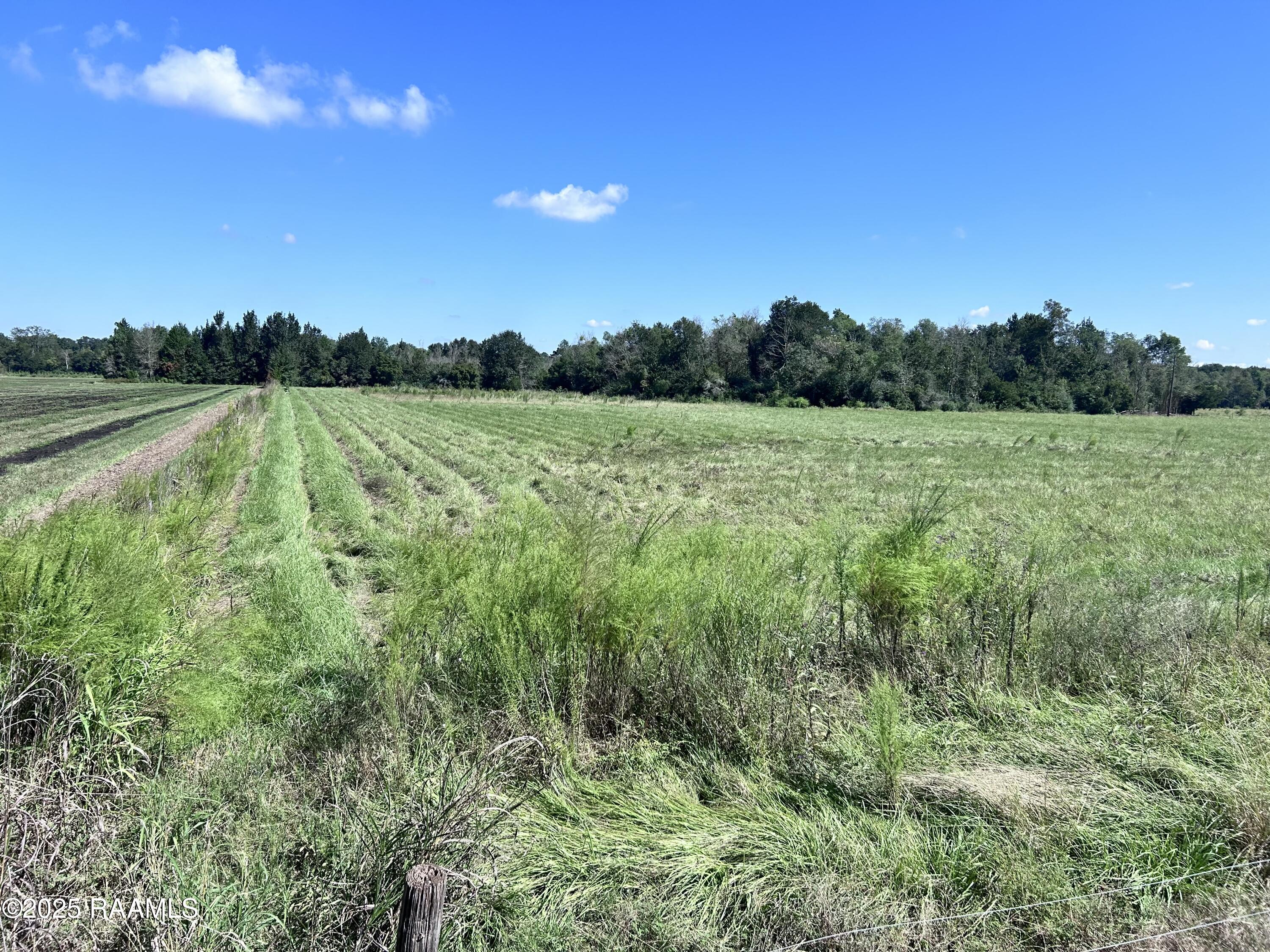 0 Curleys Road Sunset, LA 70584 - Photo 3 of 7 Photo Sep 26 2025, 11 25 09 AM