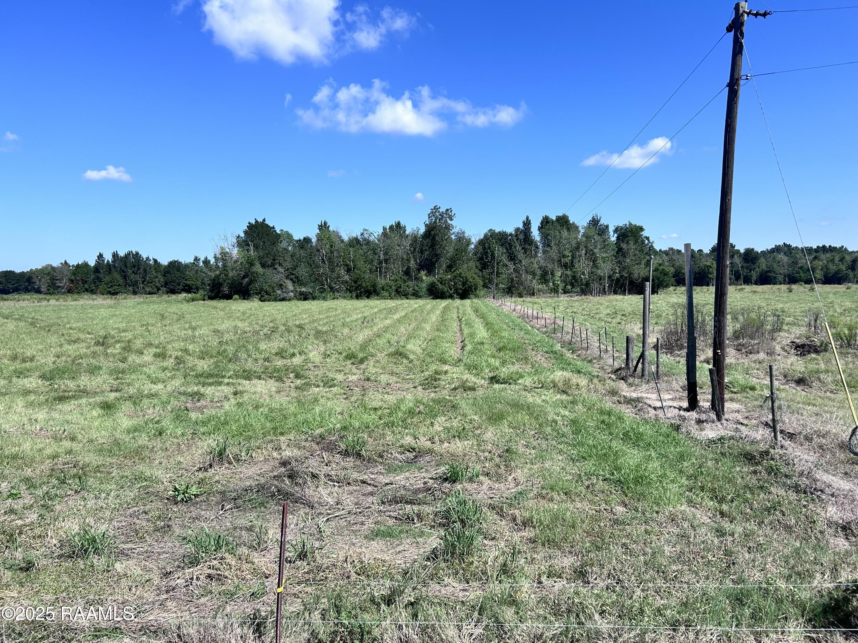 0 Curleys Road Sunset, LA 70584 - Photo 5 of 7 Photo Sep 26 2025, 11 24 27 AM