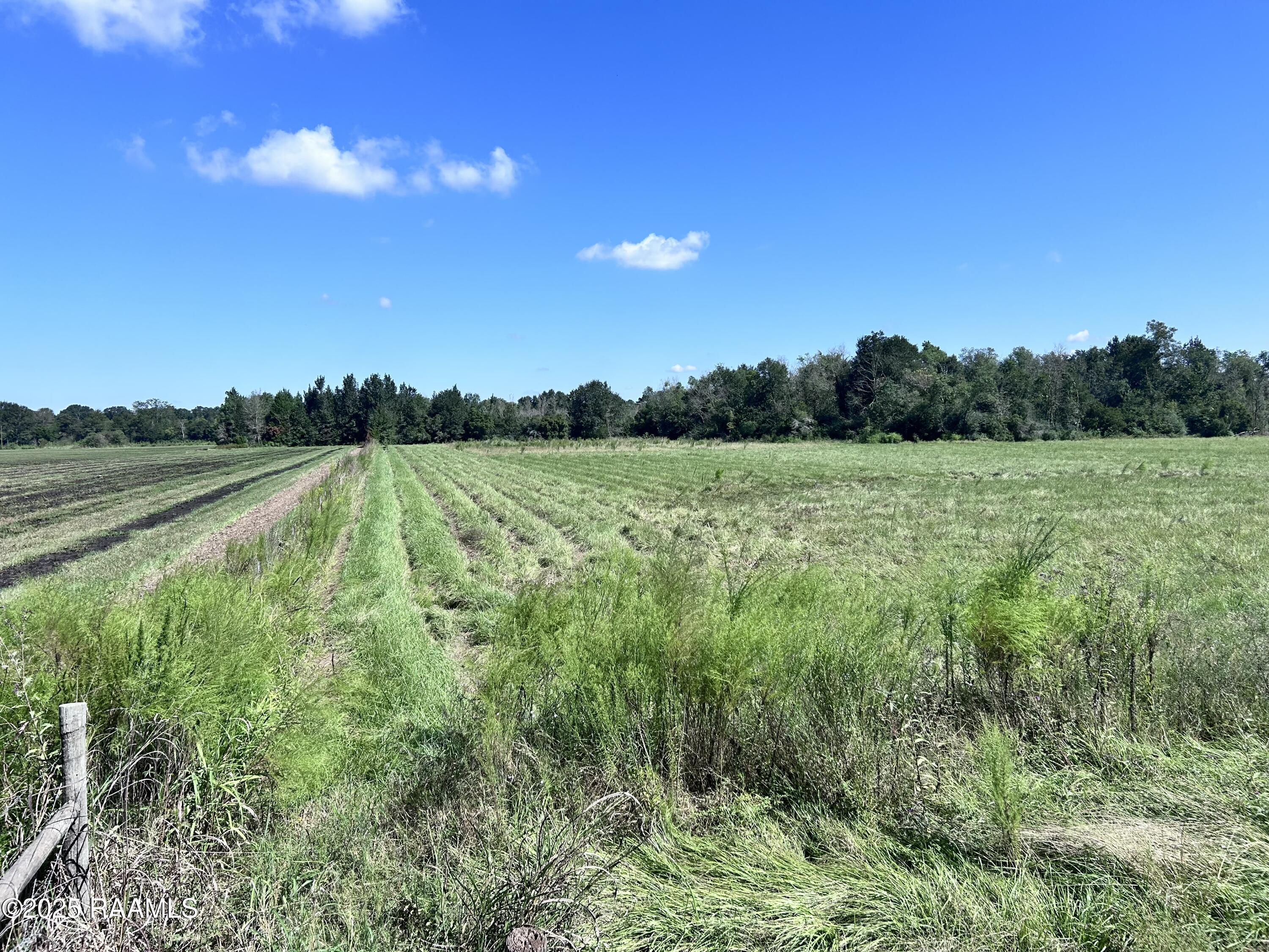 0 Curleys Road Sunset, LA 70584 - Photo 6 of 7 Photo Sep 26 2025, 11 25 15 AM