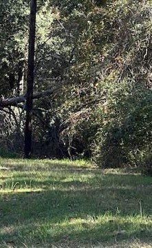 Tbd Clark Road Waller, TX 77484 - Photo 3 of 3 a view of green field