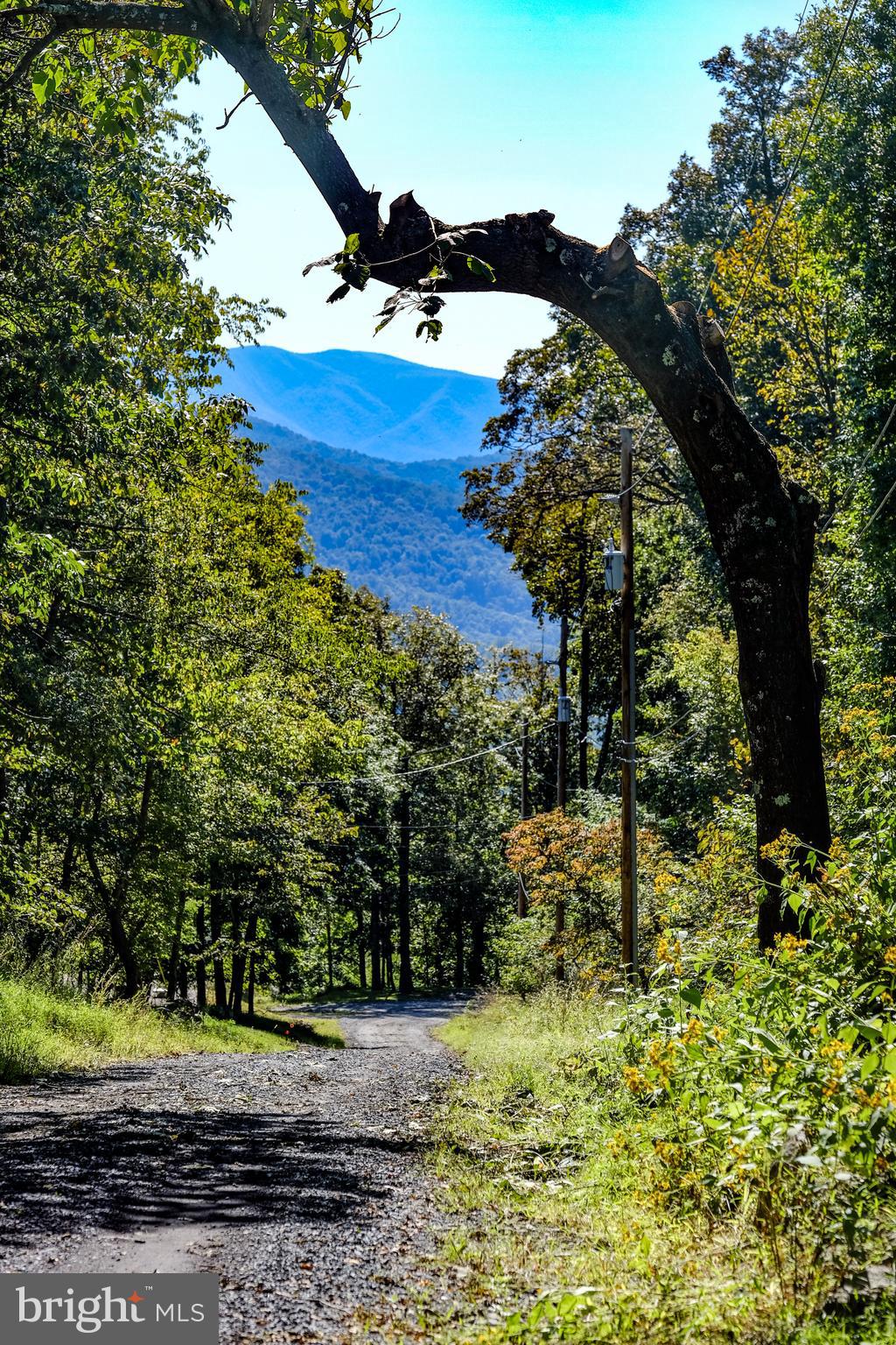 115 Mountain Top Road Front Royal, VA 22630 - Photo 43 of 78 Road leading to home-get in your car and drive it!