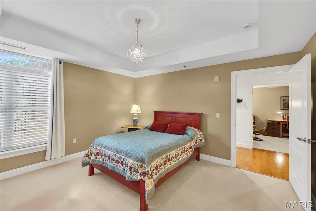 540 North And South Road, Unit 103 University City, MO 63130 - Photo 11 of 19