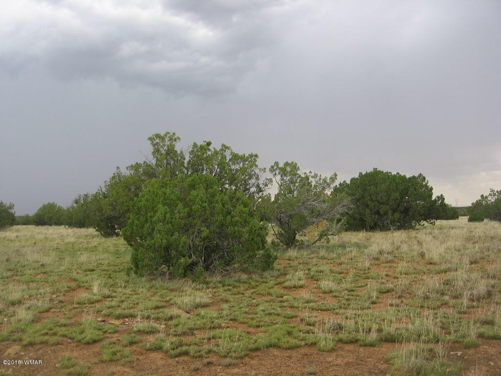 33 T15n R16e:sw4 Se4 Heber, AZ 85928 - Photo 11 of 19