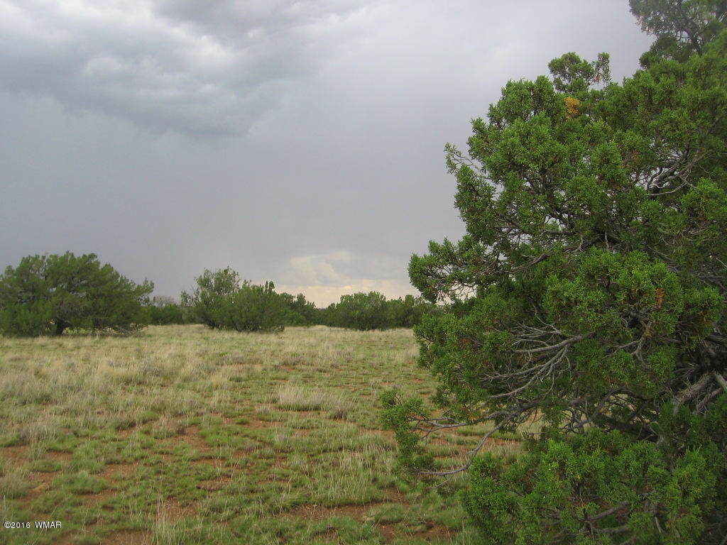 33 T15n R16e:sw4 Se4 Heber, AZ 85928 - Photo 12 of 19