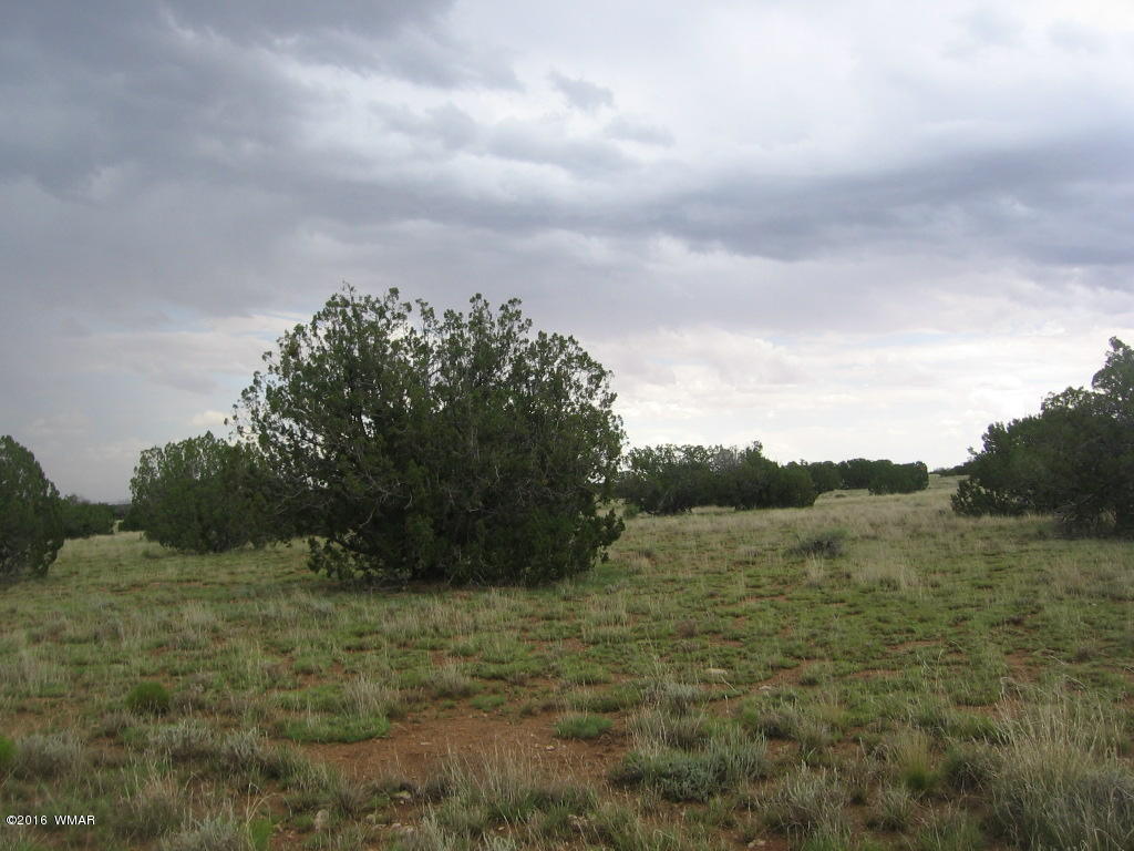 33 T15n R16e:sw4 Se4 Heber, AZ 85928 - Photo 13 of 19