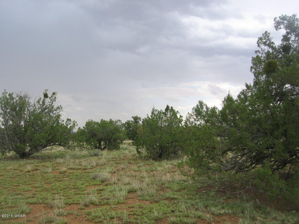 33 T15n R16e:sw4 Se4 Heber, AZ 85928 - Photo 14 of 19