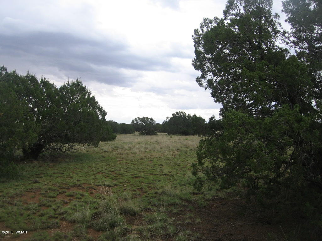 33 T15n R16e:sw4 Se4 Heber, AZ 85928 - Photo 16 of 19