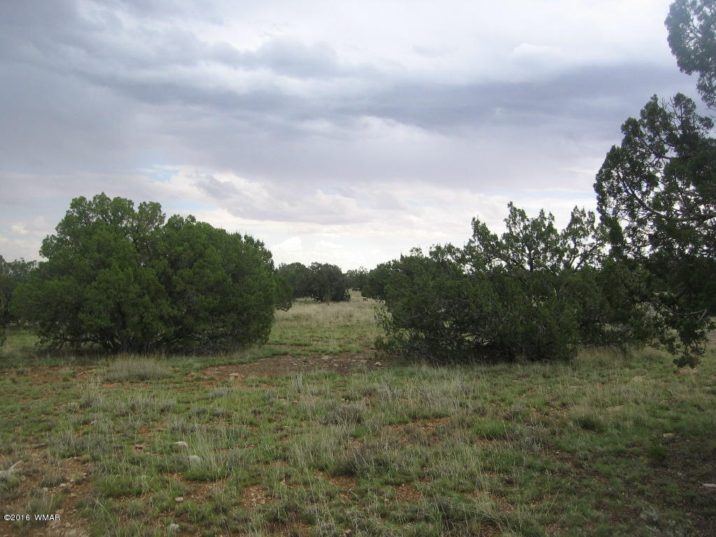 33 T15n R16e:sw4 Se4 Heber, AZ 85928 - Photo 17 of 19