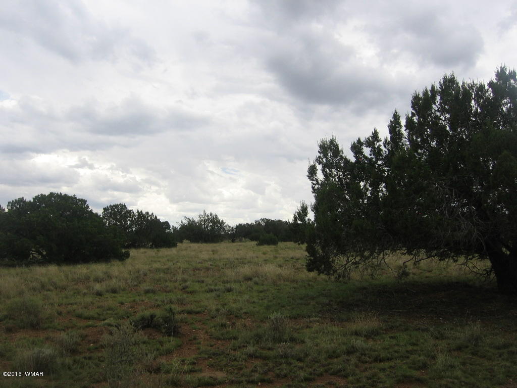 33 T15n R16e:sw4 Se4 Heber, AZ 85928 - Photo 19 of 19
