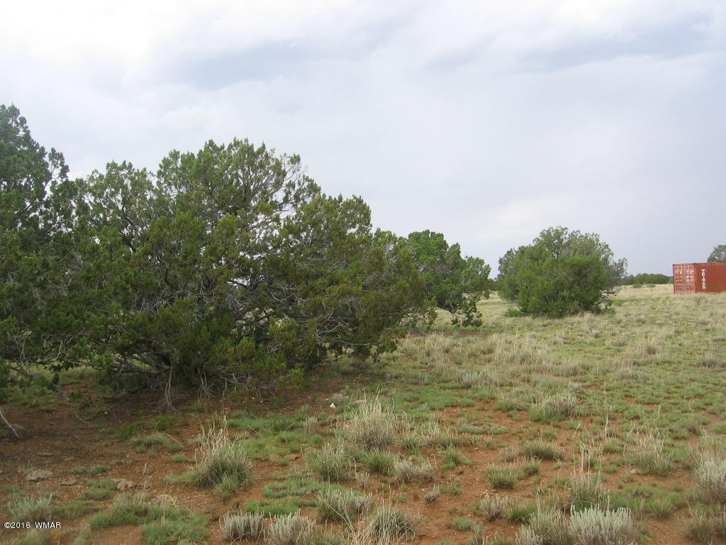 33 T15n R16e:sw4 Se4 Heber, AZ 85928 - Photo 2 of 19