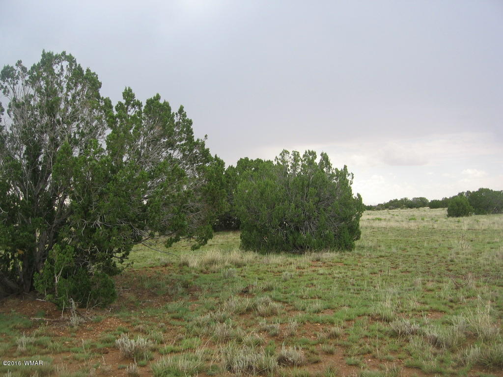 33 T15n R16e:sw4 Se4 Heber, AZ 85928 - Photo 3 of 19