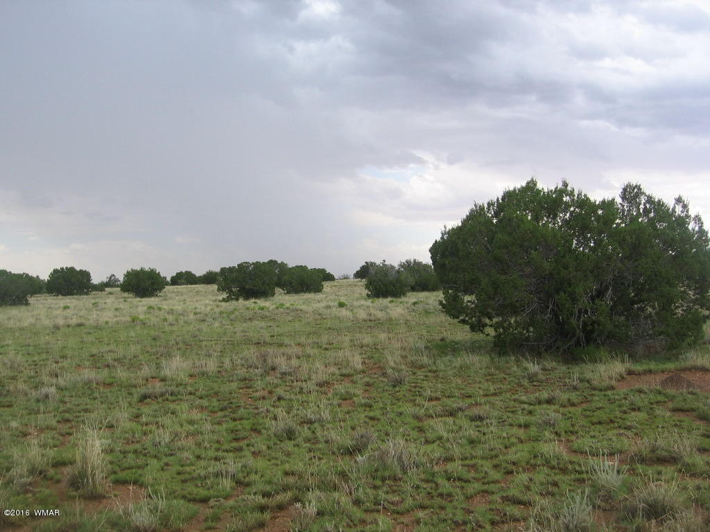 33 T15n R16e:sw4 Se4 Heber, AZ 85928 - Photo 4 of 19