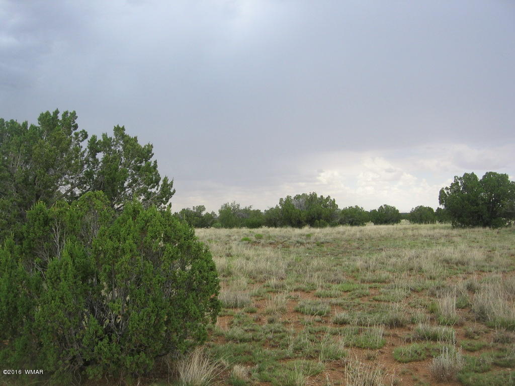 33 T15n R16e:sw4 Se4 Heber, AZ 85928 - Photo 6 of 19