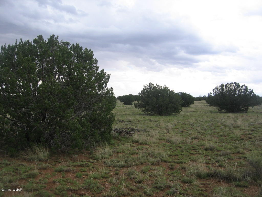 33 T15n R16e:sw4 Se4 Heber, AZ 85928 - Photo 7 of 19