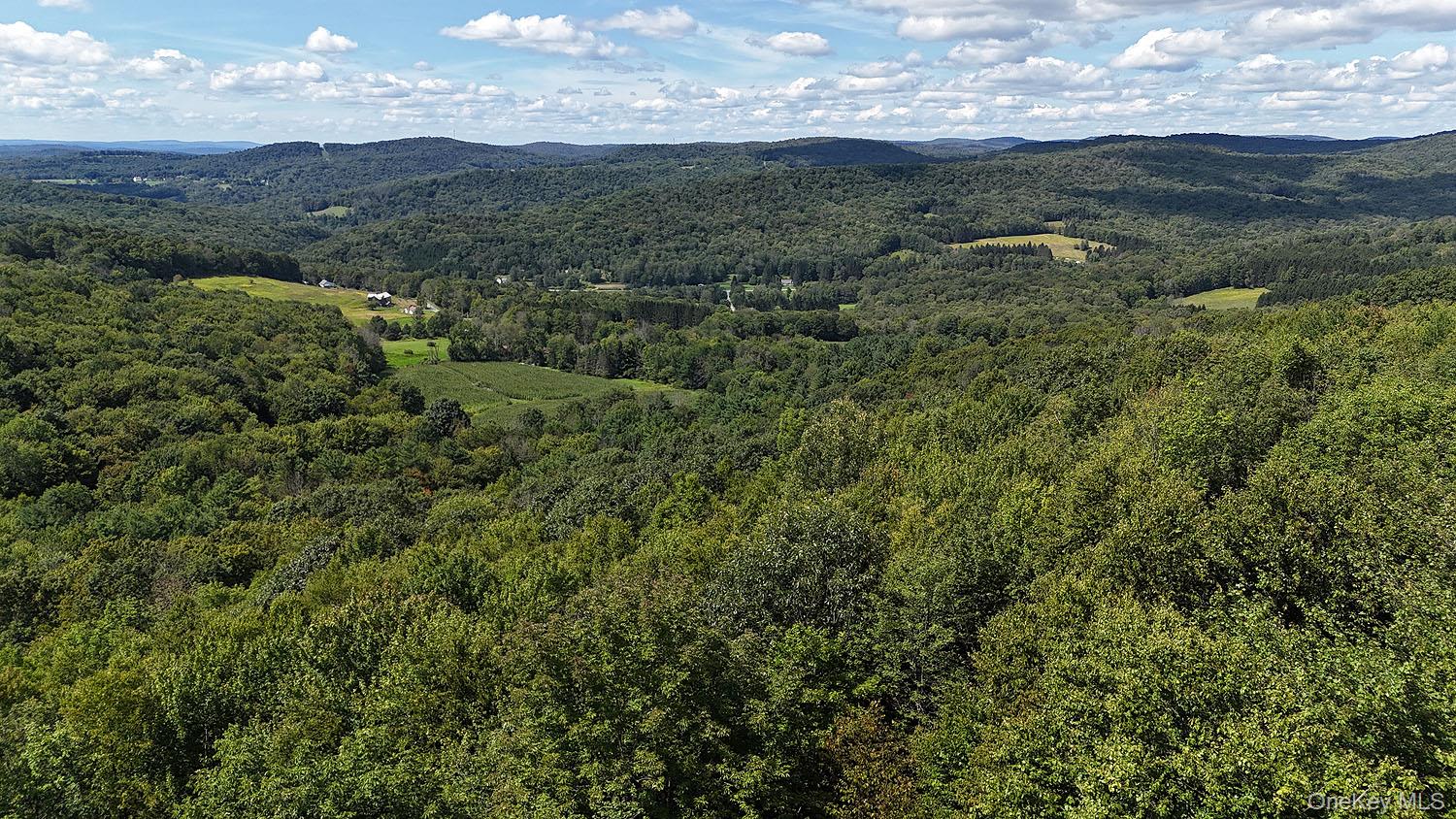 Hammer Road Hankins, NY 12736 - Photo 23 of 29 Gallery Image 23