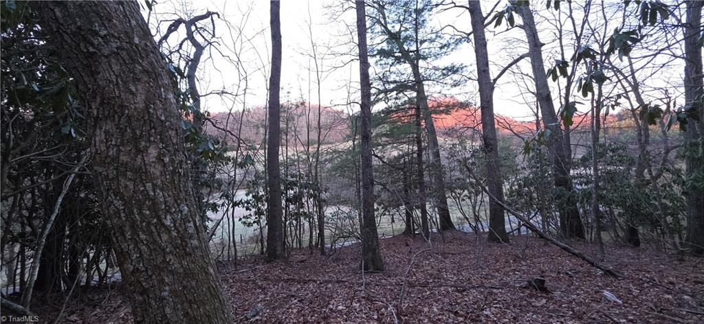 0 Air Bellows Gap Road Sparta, NC 28675 - Photo 2 of 13