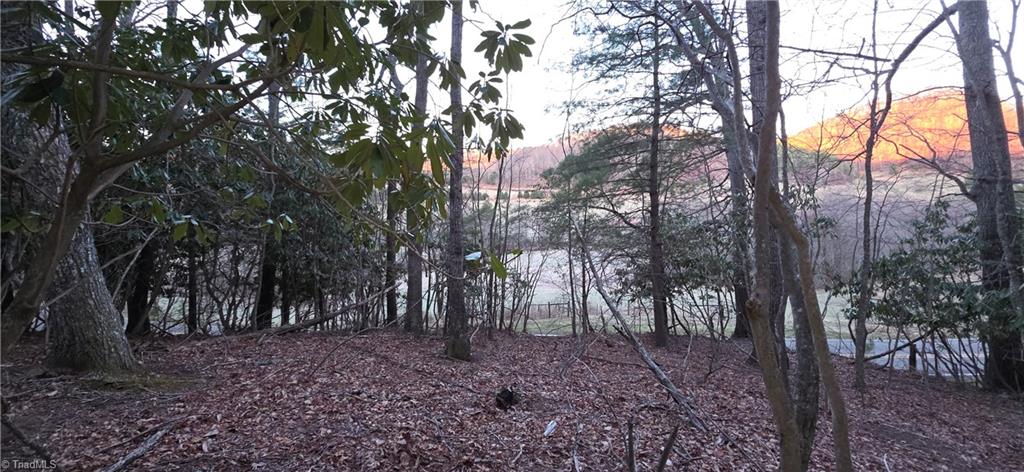 0 Air Bellows Gap Road Sparta, NC 28675 - Photo 3 of 13
