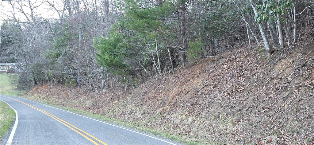 0 Air Bellows Gap Road Sparta, NC 28675 - Photo 7 of 13