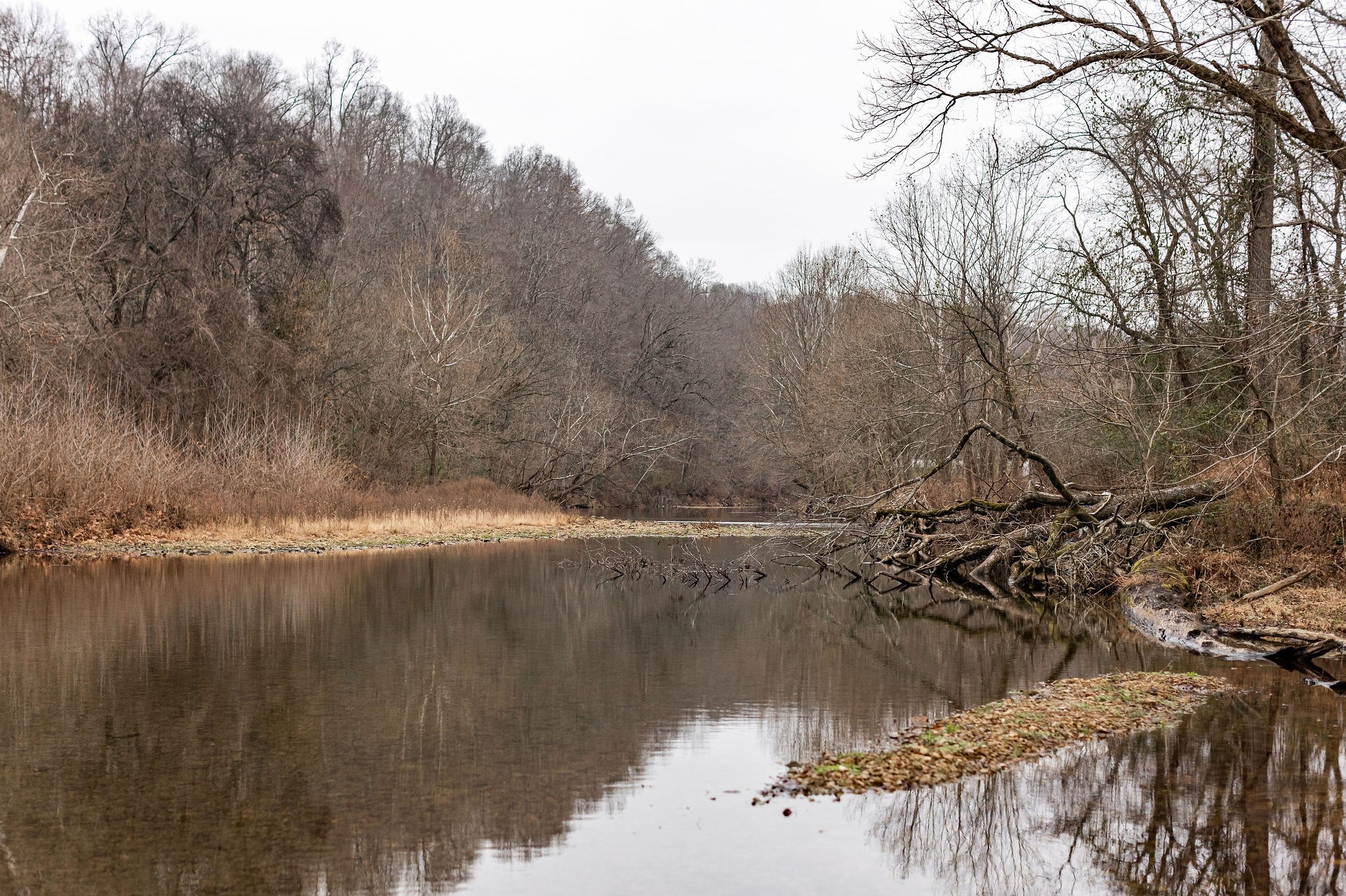 1826 New Hope Road Joelton, TN 37080 - Photo 72 of 99