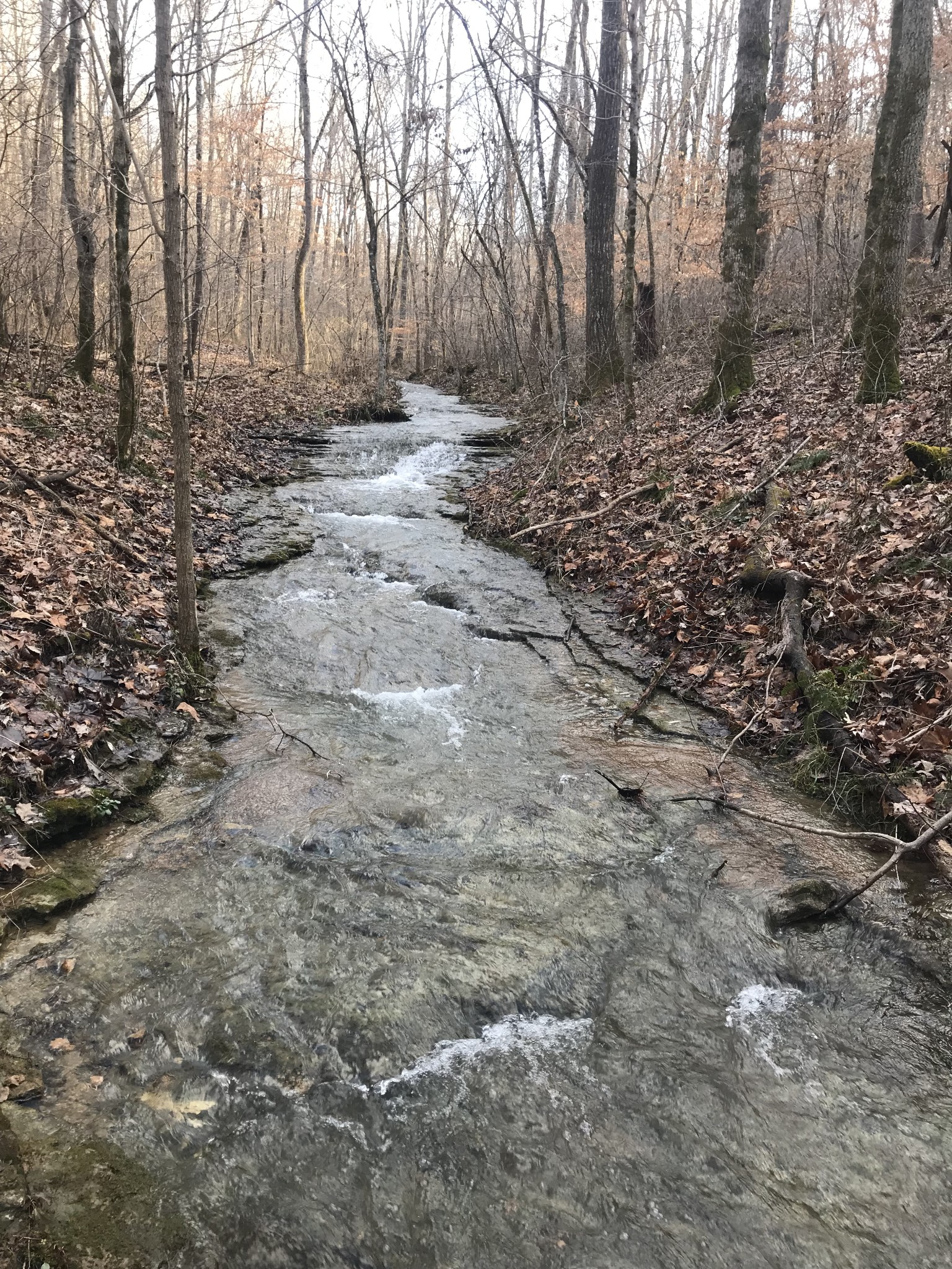 1826 New Hope Road Joelton, TN 37080 - Photo 78 of 99