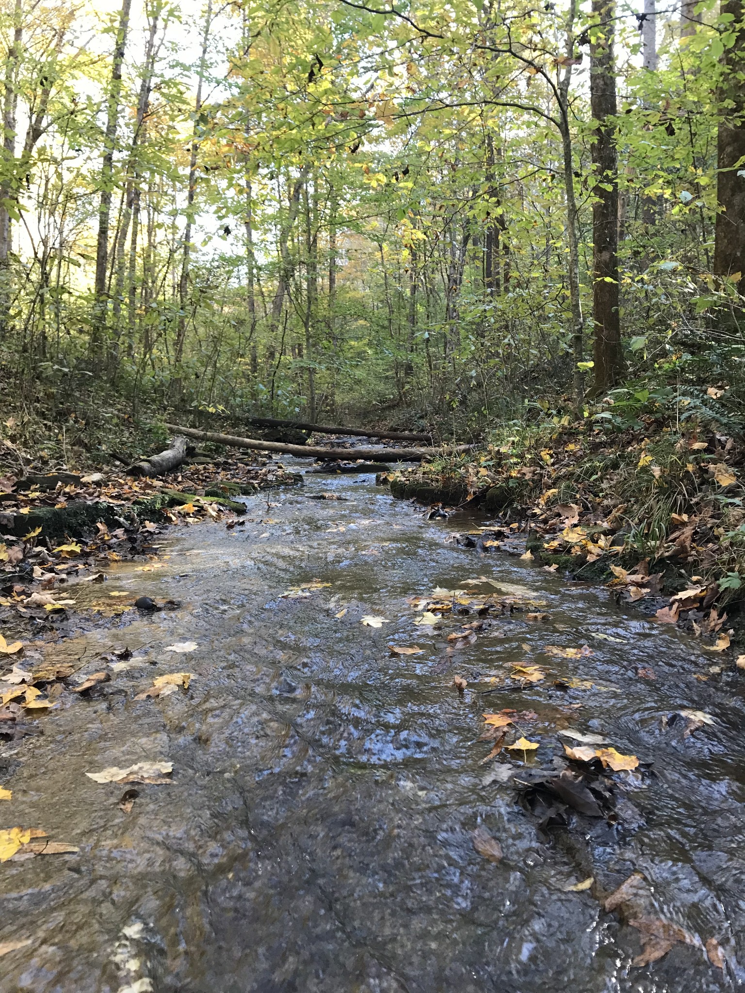 1826 New Hope Road Joelton, TN 37080 - Photo 79 of 99