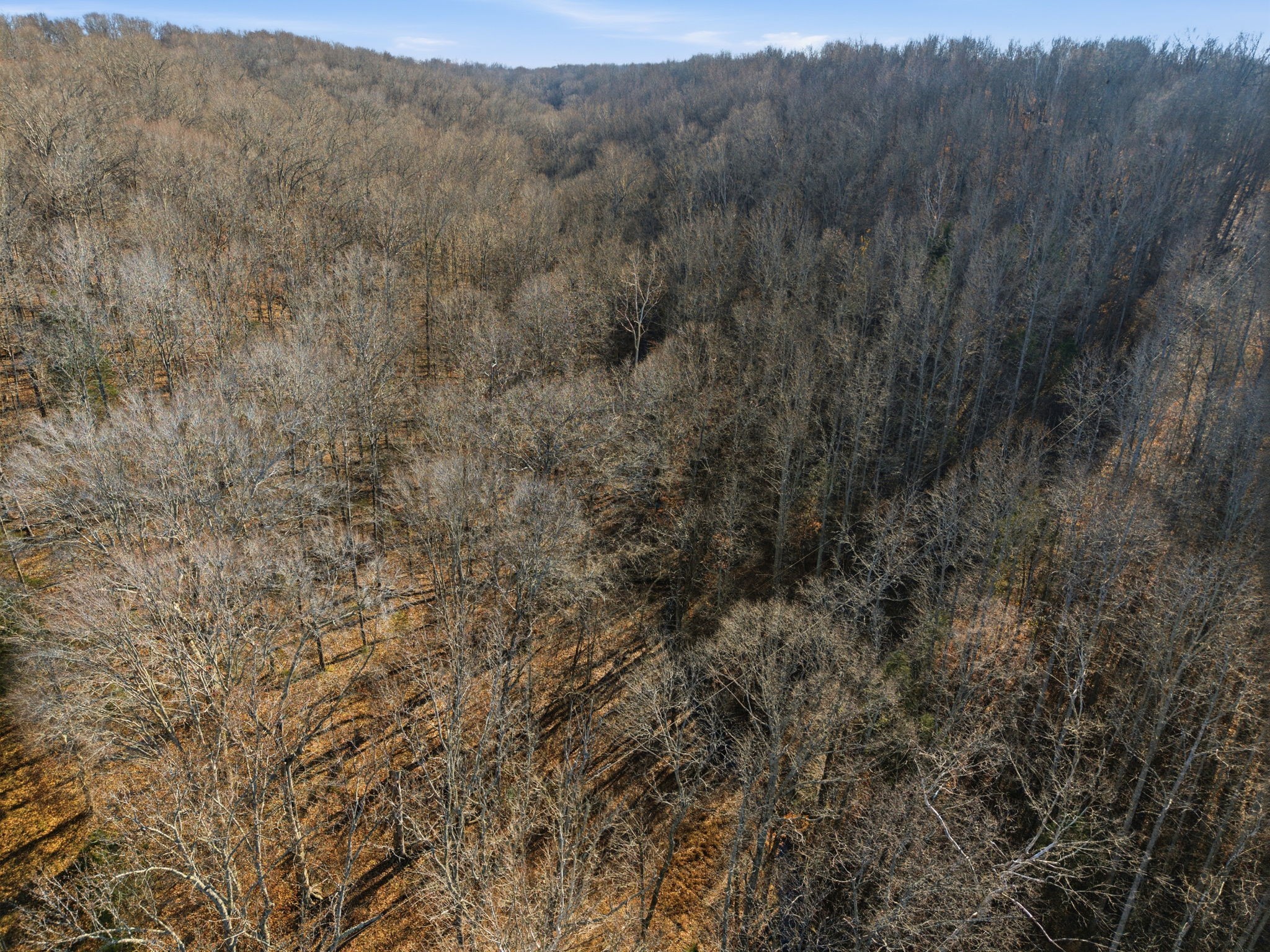 1826 New Hope Road Joelton, TN 37080 - Photo 83 of 99