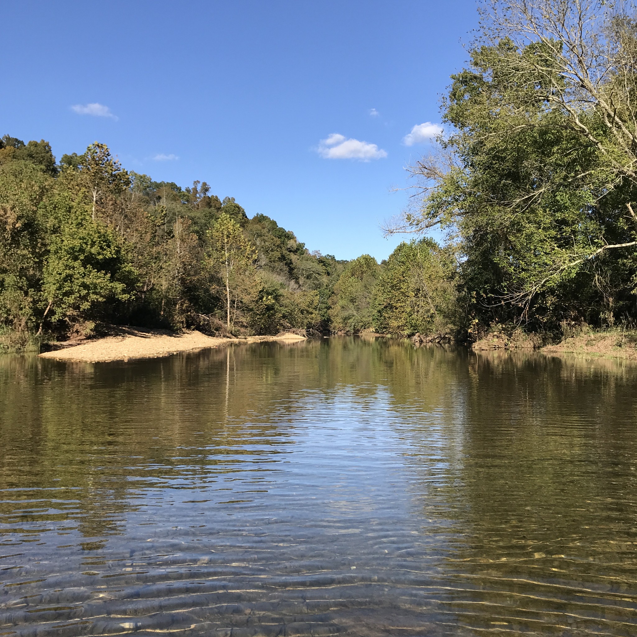 1826 New Hope Road Joelton, TN 37080 - Photo 85 of 95 a view of a lake with houses