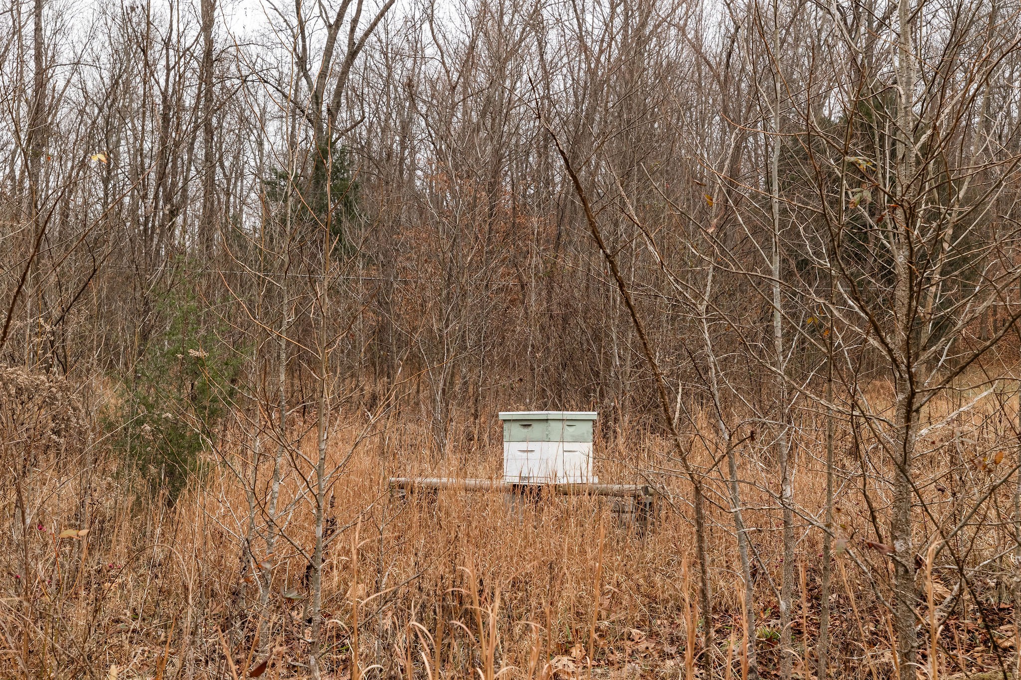 1826 New Hope Road Joelton, TN 37080 - Photo 86 of 99