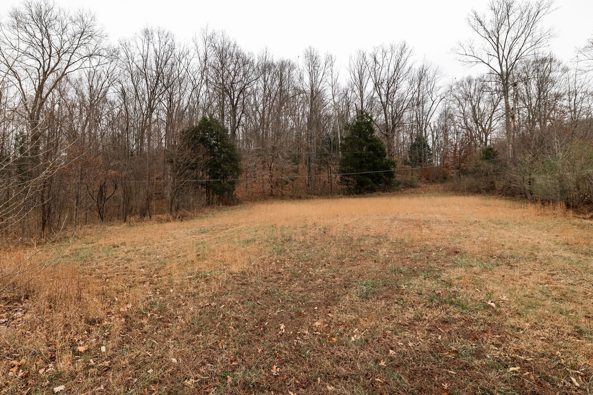 1826 New Hope Road Joelton, TN 37080 - Photo 87 of 99