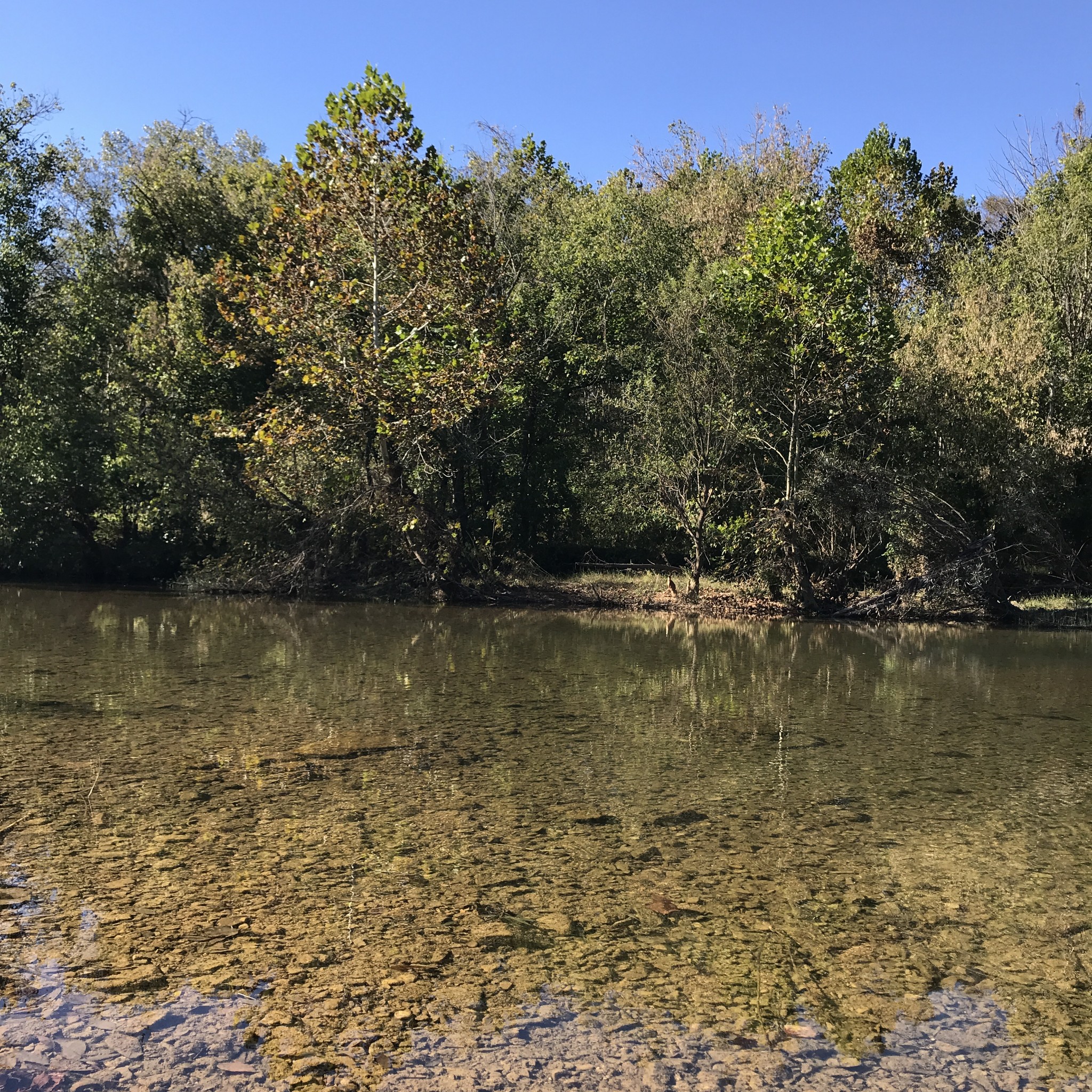 1826 New Hope Road Joelton, TN 37080 - Photo 87 of 95 a view of lake