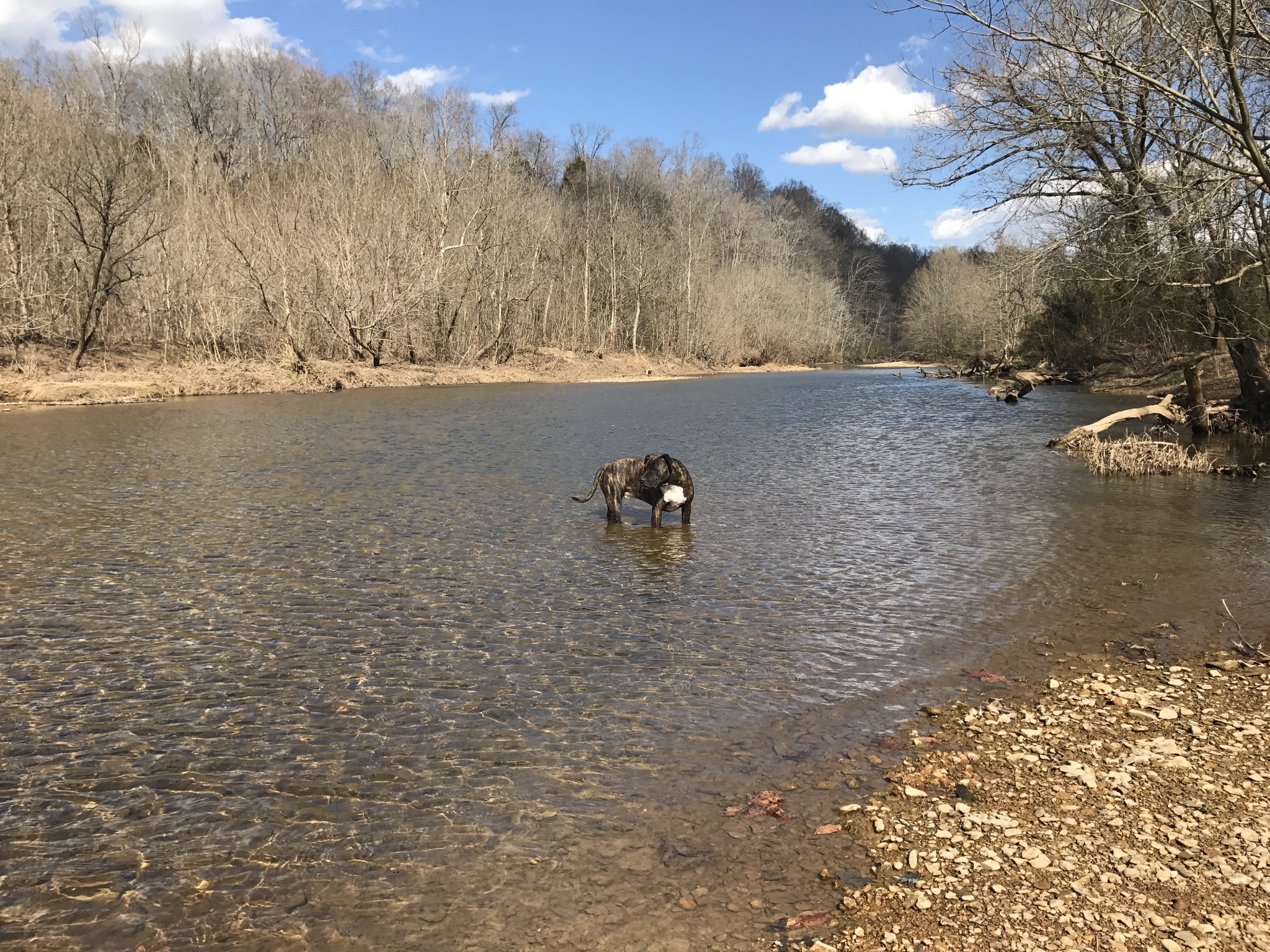 1826 New Hope Road Joelton, TN 37080 - Photo 88 of 95