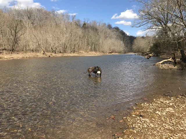 $785,000 | 1826 New Hope Road, Joelton, TN 37080