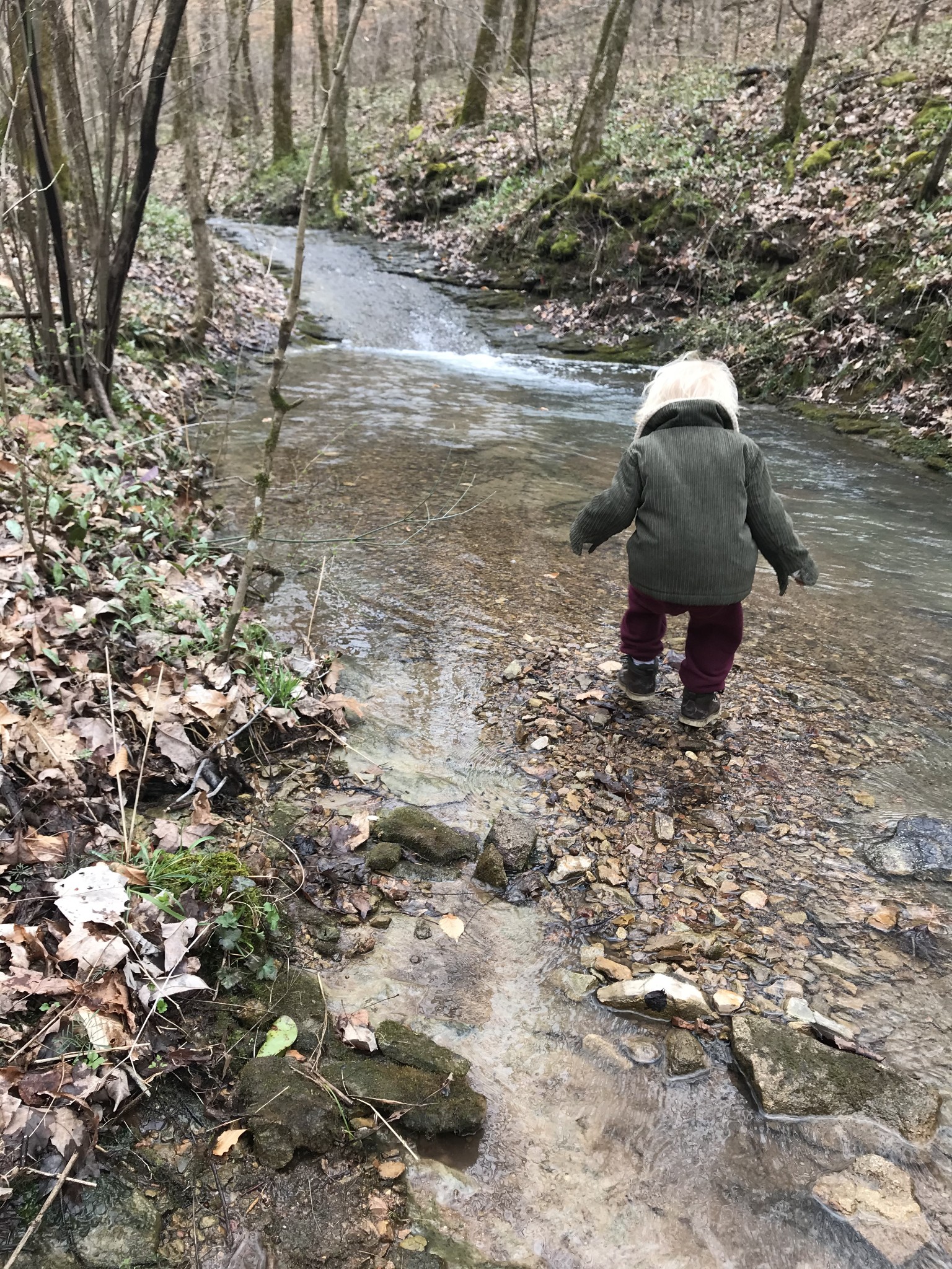 1826 New Hope Road Joelton, TN 37080 - Photo 93 of 99