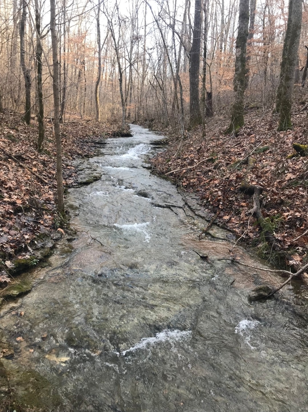 1826 New Hope Road Joelton, TN 37080 - Photo 94 of 99