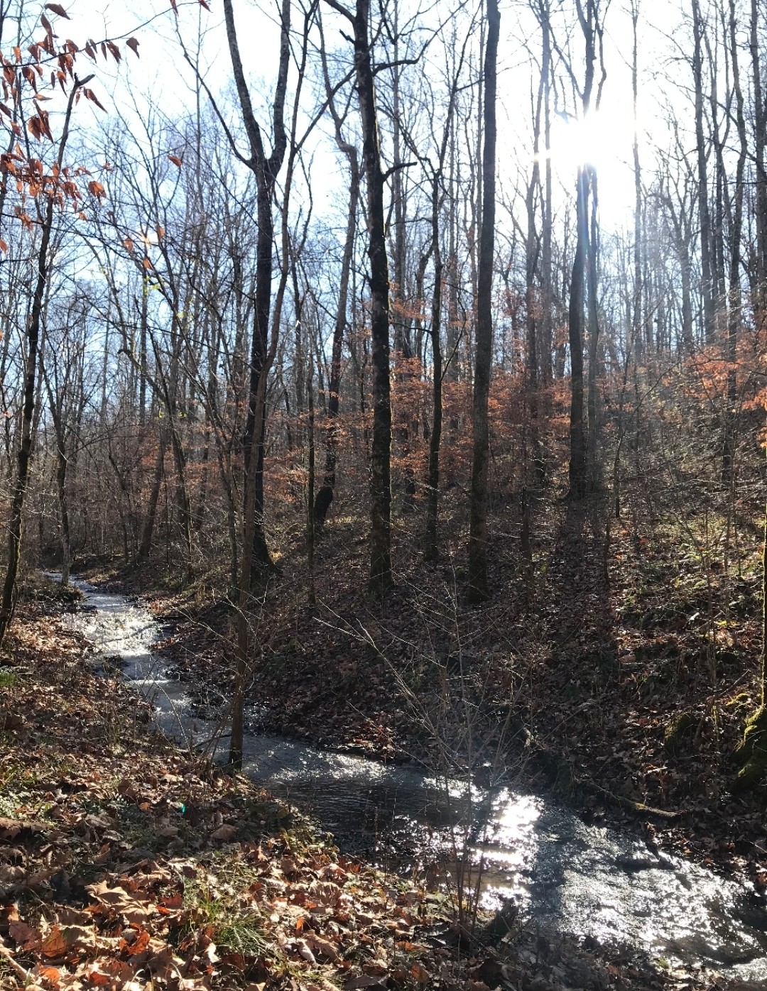 1826 New Hope Road Joelton, TN 37080 - Photo 95 of 99