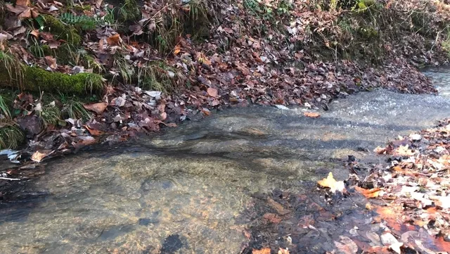 $785,000 | 1826 New Hope Road, Joelton, TN 37080