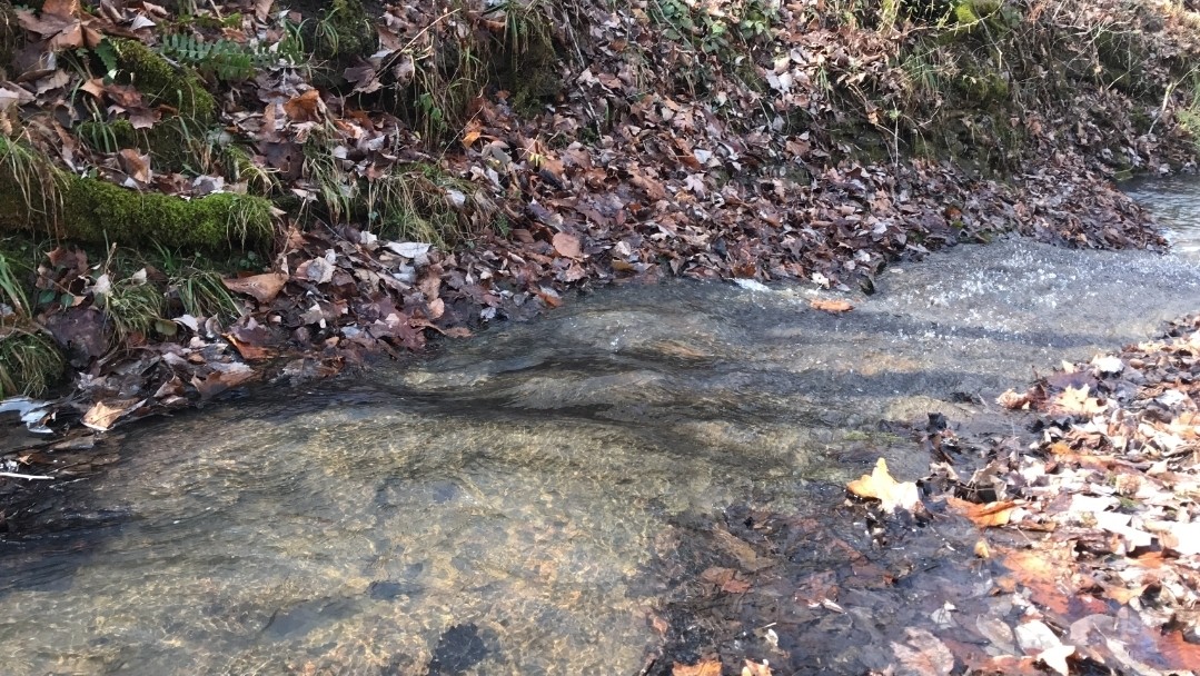 1826 New Hope Road Joelton, TN 37080 - Photo 97 of 99