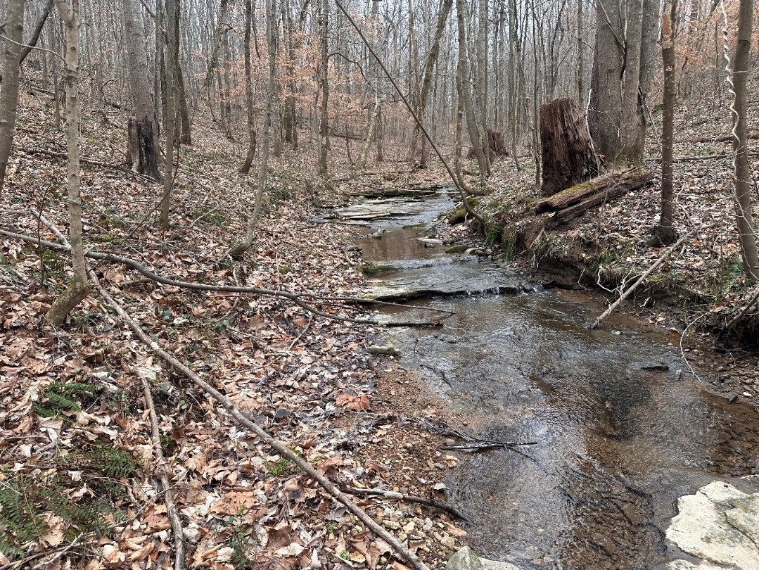 1826 New Hope Road Joelton, TN 37080 - Photo 98 of 99