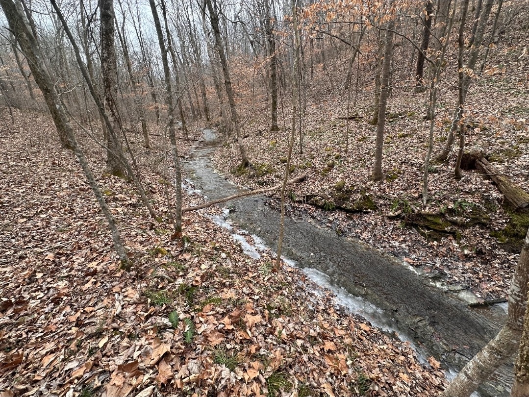 1826 New Hope Road Joelton, TN 37080 - Photo 99 of 99