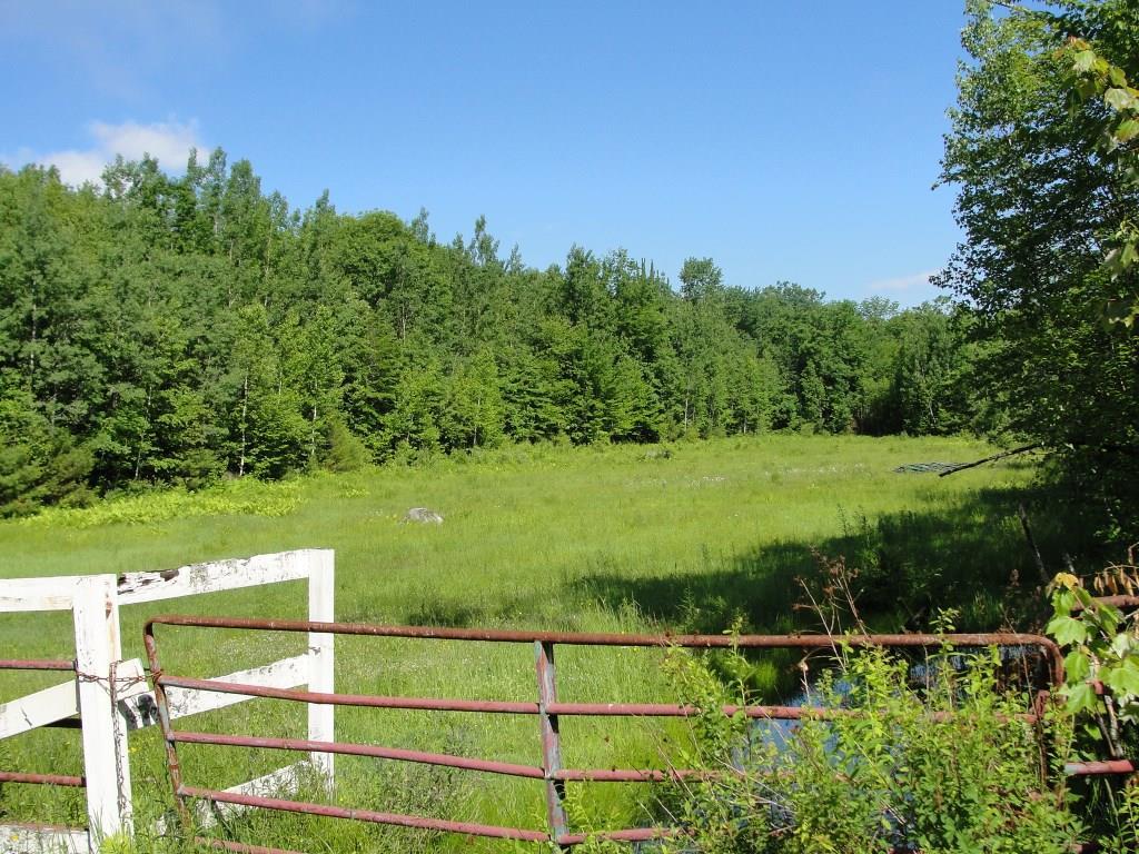 134 Town Farm Road Harrison, ME 04040 - Photo 2 of 33 Part of the land is a pasture with...