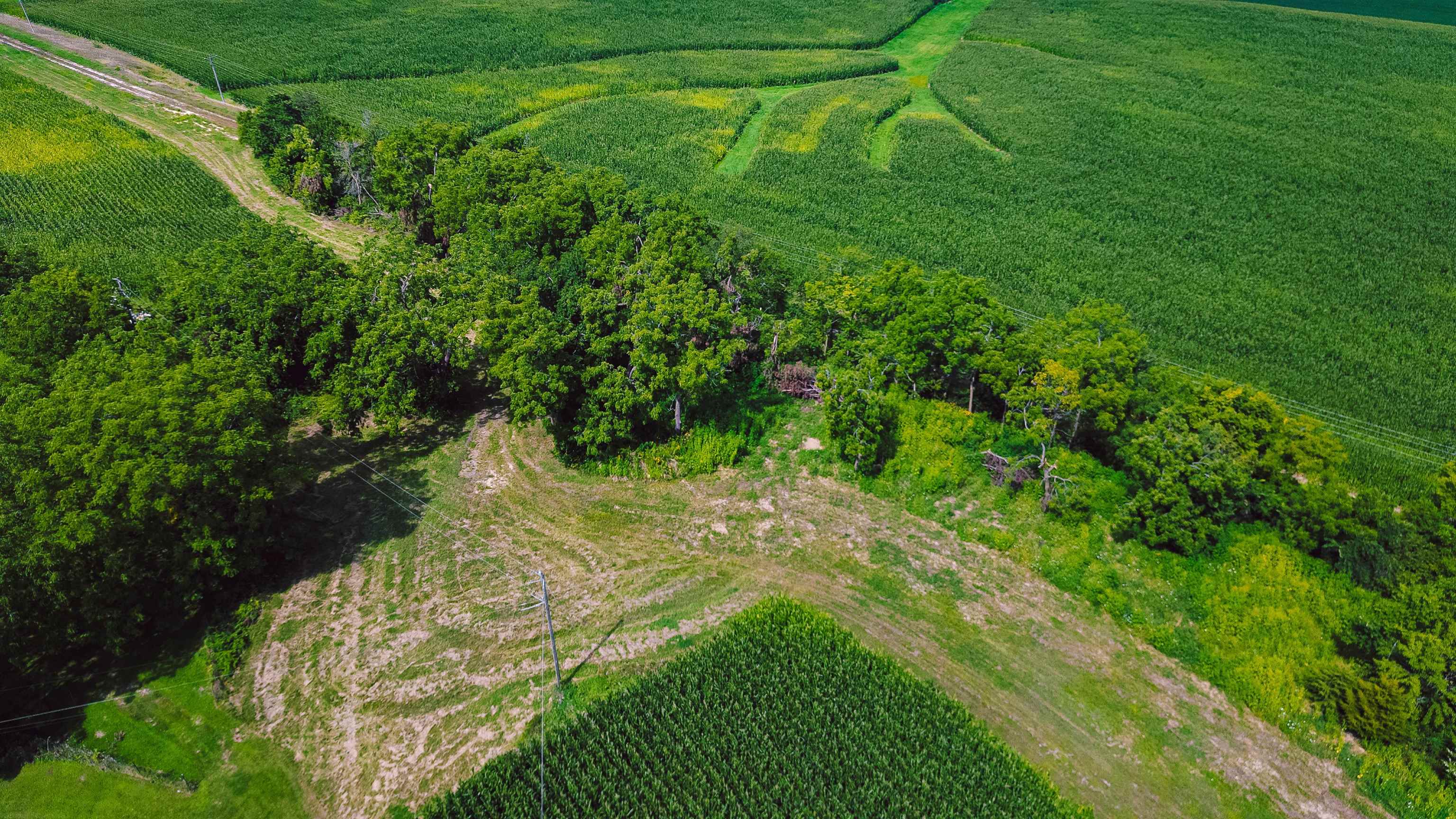 Tbd East Krohmer Road Elizabeth, IL 61028 - Photo 6 of 10