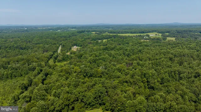 a view of a city with lush green forest