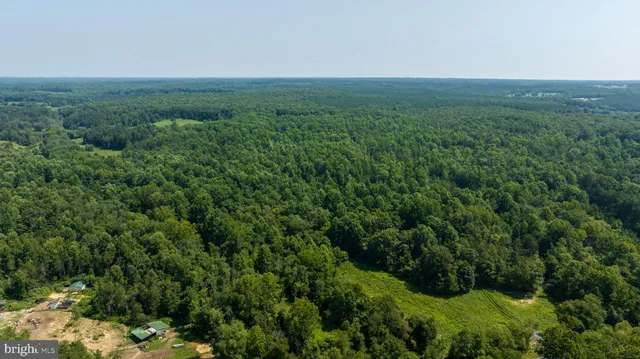 a view of a green field with lots of bushes