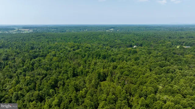 a view of a green field with lots of bushes