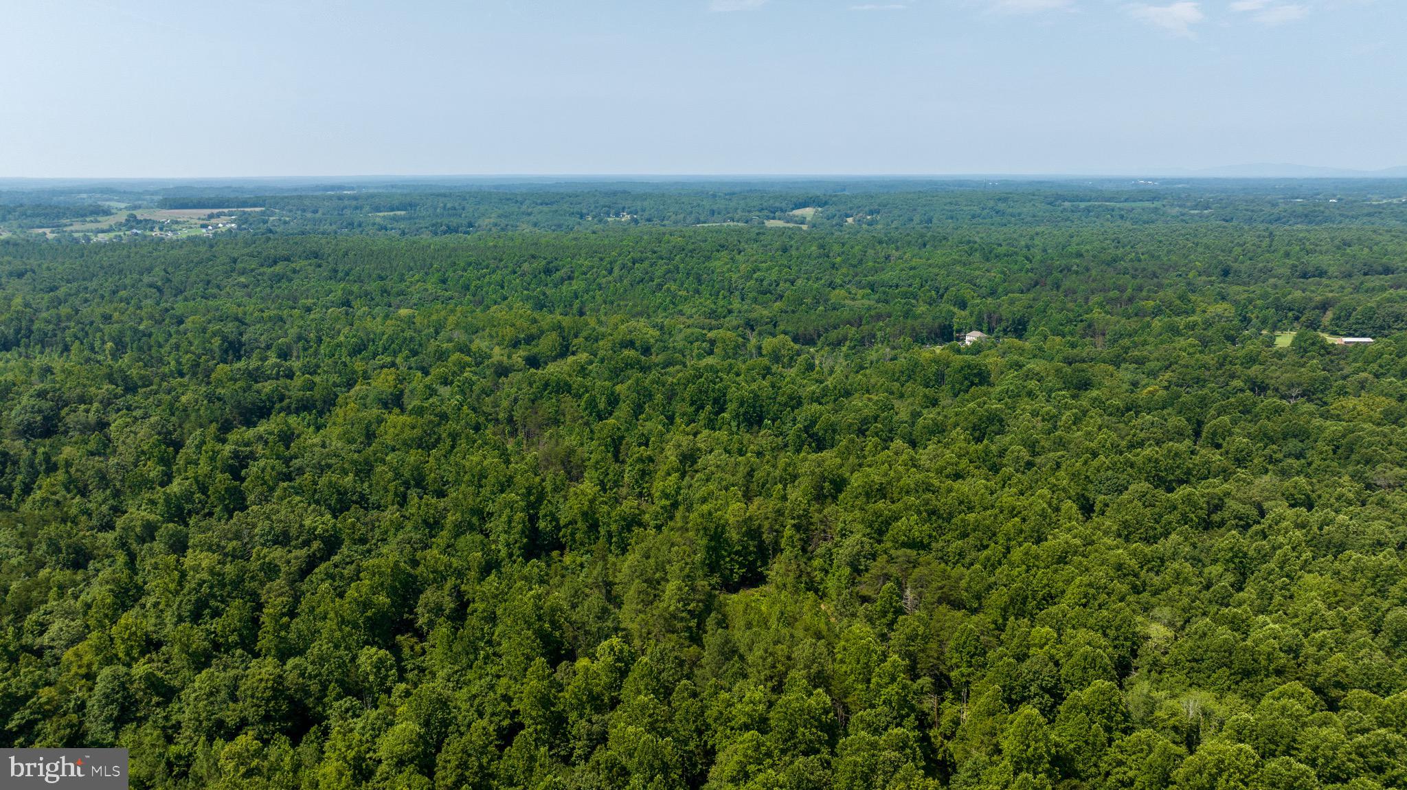 Hunters Ridge Lane Unionville, VA 22567 - Photo 16 of 33 a view of a green field with lots of bushes