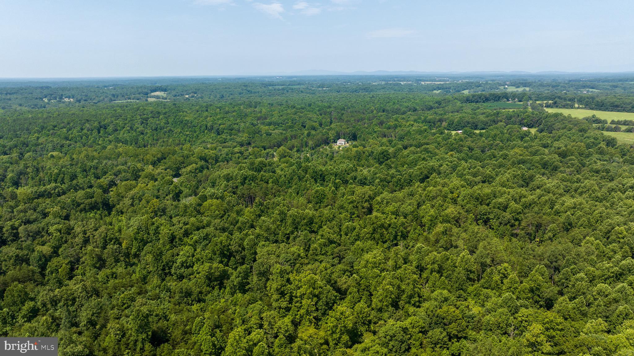 Hunters Ridge Lane Unionville, VA 22567 - Photo 17 of 33 a view of a green field with lots of bushes